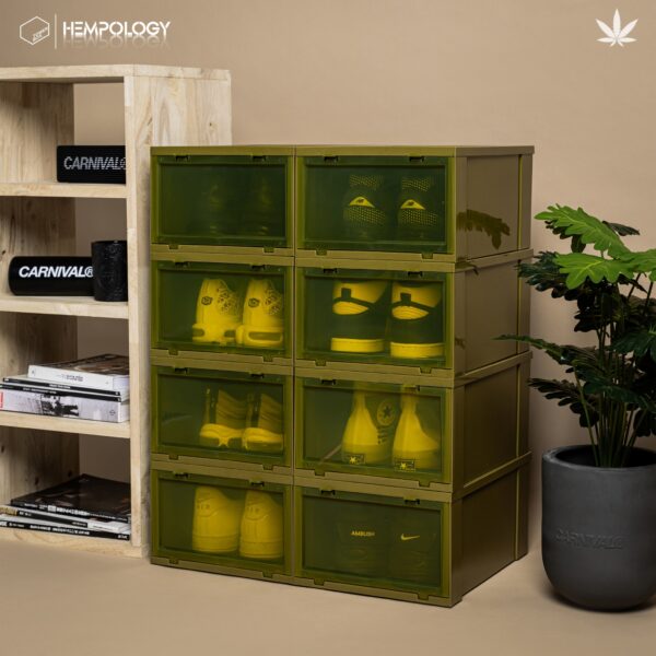 TOWER BOX x HEMPOLOGY (4 BOXES)